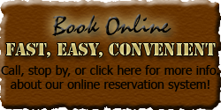 Book Online
