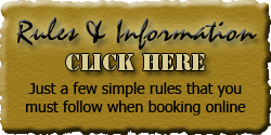 New Clients & Information
